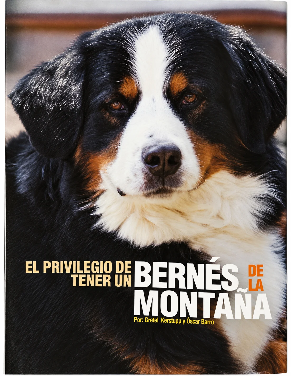 Perros Pura Sangre